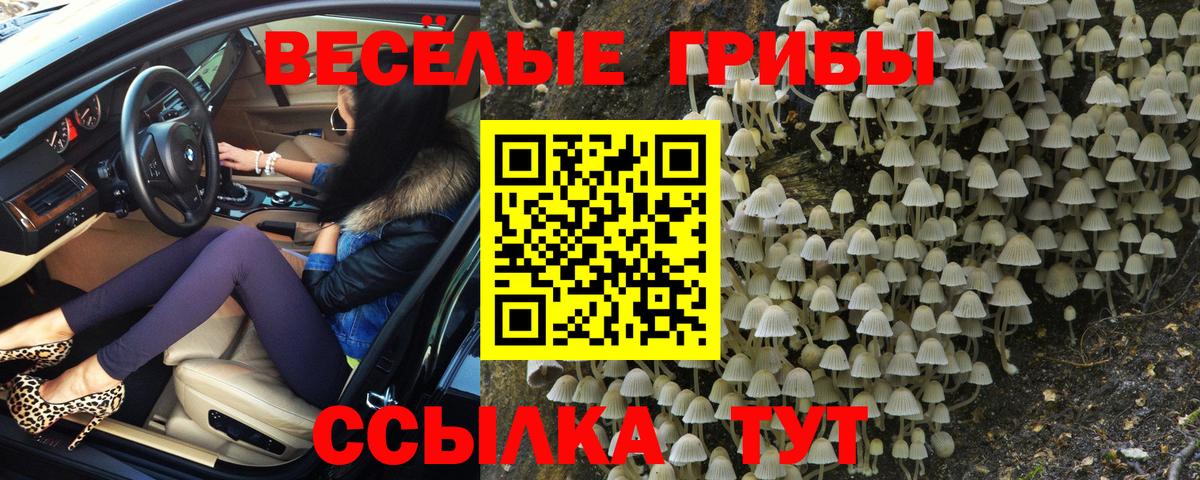Конаково  купить закладку  Вход с VPN  Галлюциногенные грибы ЛСД 